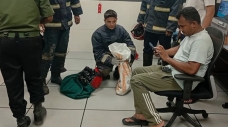 মেট্রোরেলের লাইনে বিড়াল, চলাচল বন্ধ ২০ মিনিট