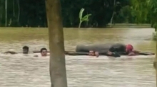 বন্যার কারণে ভেলায় ভাসিয়ে লাশ নেওয়া হলো ২ কিমি দূরের কবরস্থানে